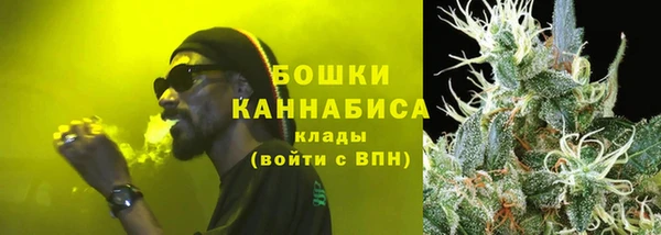 прущие грибы Белокуриха