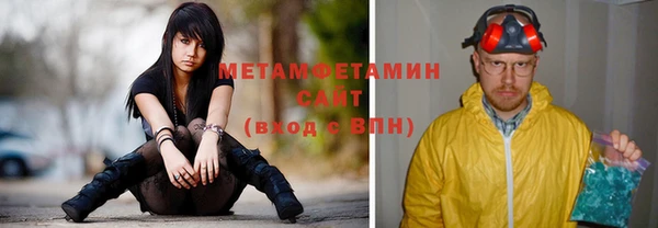прущие грибы Белокуриха