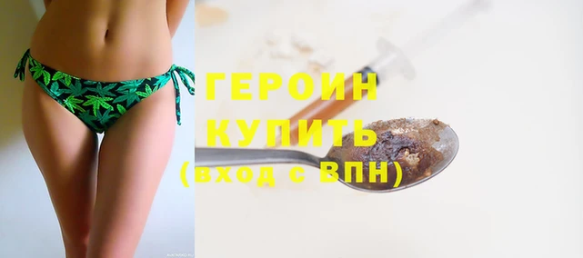 прущие грибы Белокуриха