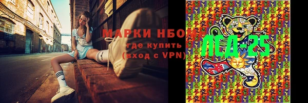 прущие грибы Белокуриха