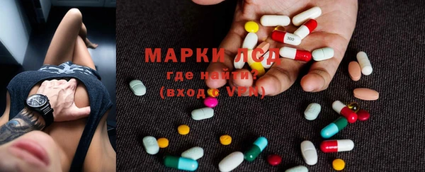 прущие грибы Белокуриха