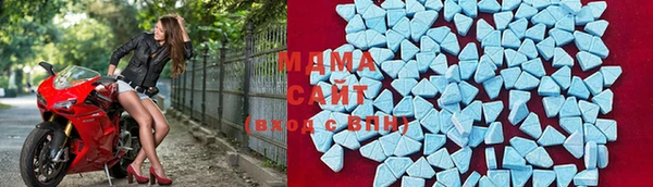 прущие грибы Белокуриха