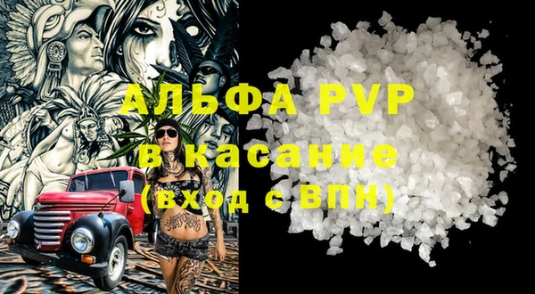 прущие грибы Белокуриха