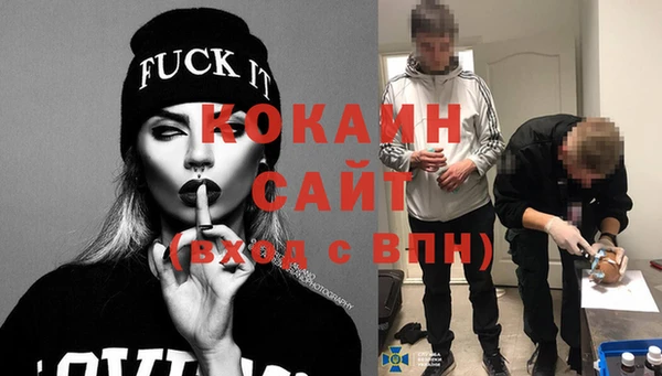 прущие грибы Белокуриха