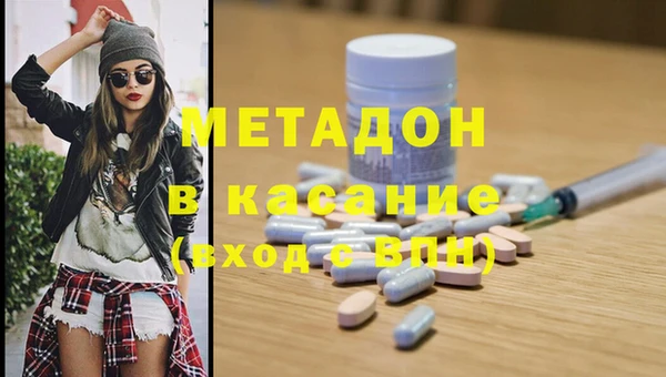 прущие грибы Белокуриха