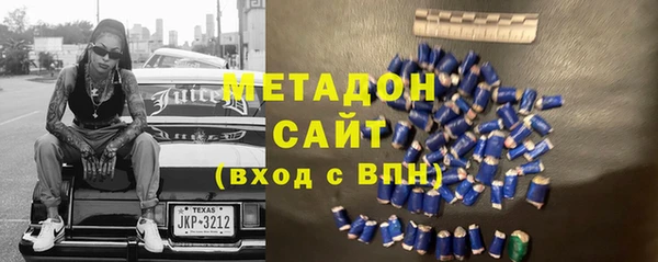 прущие грибы Белокуриха