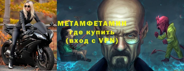 прущие грибы Белокуриха