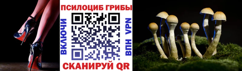 Галлюциногенные грибы ЛСД  цены   Сковородино 