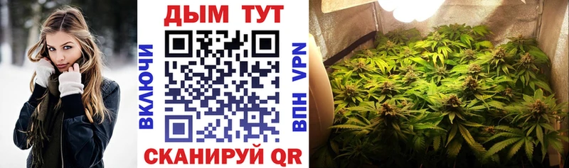 Каннабис сатива  где найти   Сковородино 